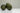 Two avocados on a reflective surface with a neutral background
