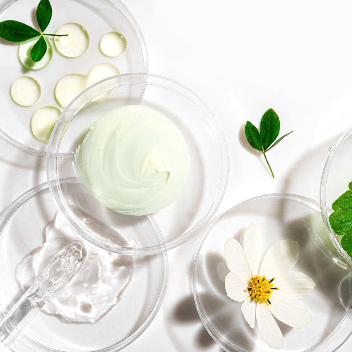Cosmetic products with green leaves and a white flower on a light background