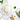 Cosmetic products with green leaves and a white flower on a light background